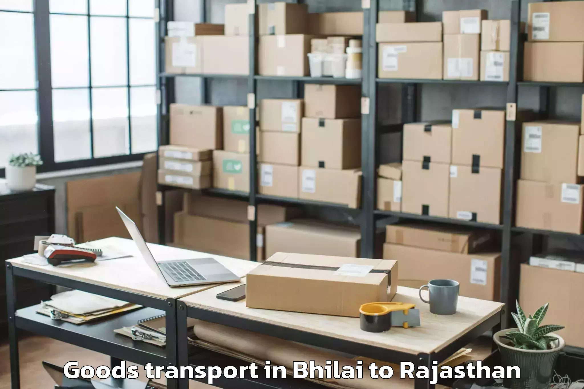 Top Bhilai to Khinwara Goods Transport Available